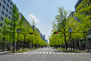 大阪のメインストリート御堂筋